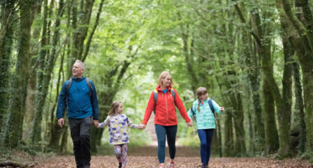 Family joyfully hiking through a lush, green forest on a sunny day.